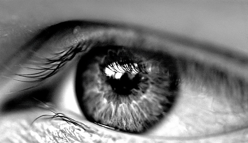 eye öga 