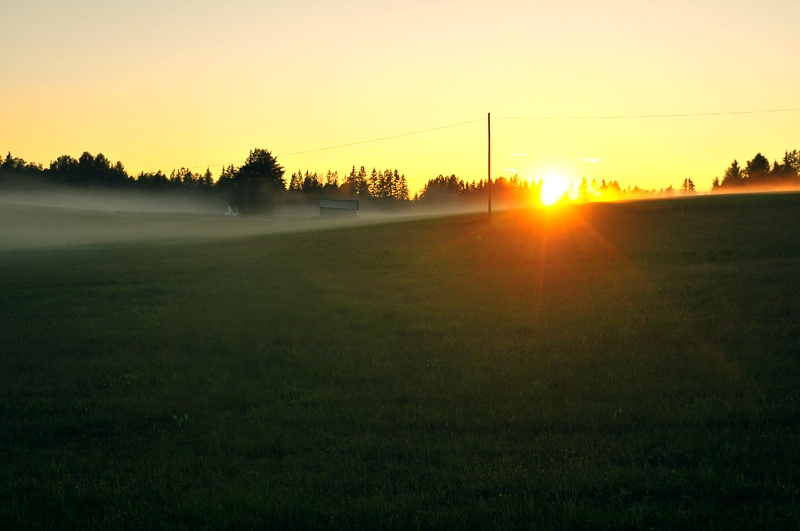 golden mist solnedgång dimma 
