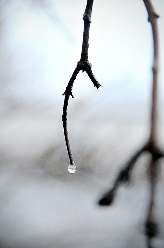 rain gren vattendroppe regn 