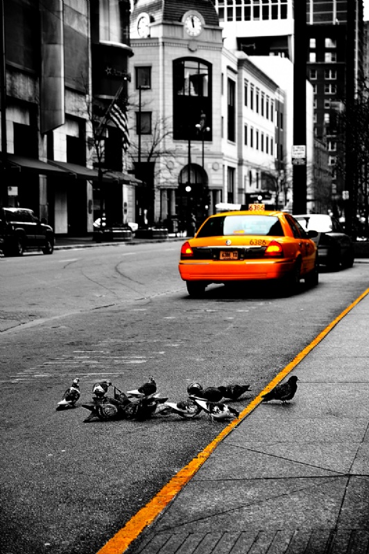 taxi chicago 