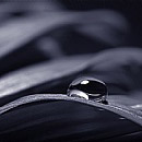 Blue drop 