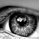 Eye 