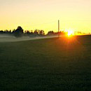 Golden mist 