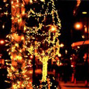 Lights 