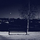 New Moon 