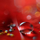 Red Drop 