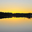 Reflected