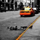Taxi 
